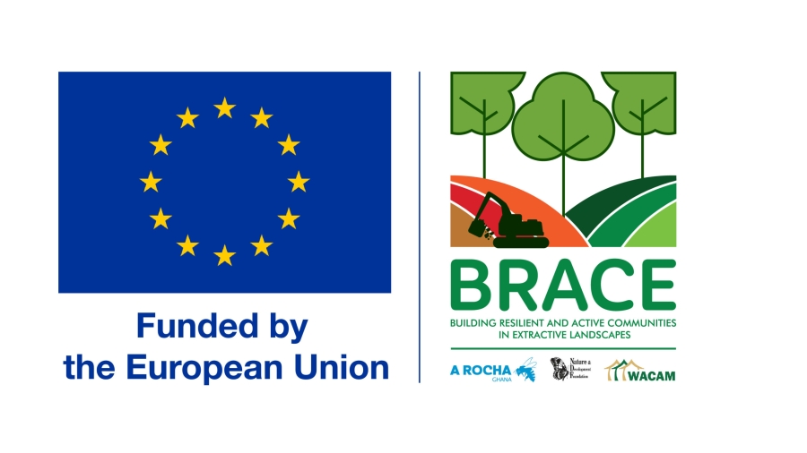 BRACE_Logo_Final_Approved-01