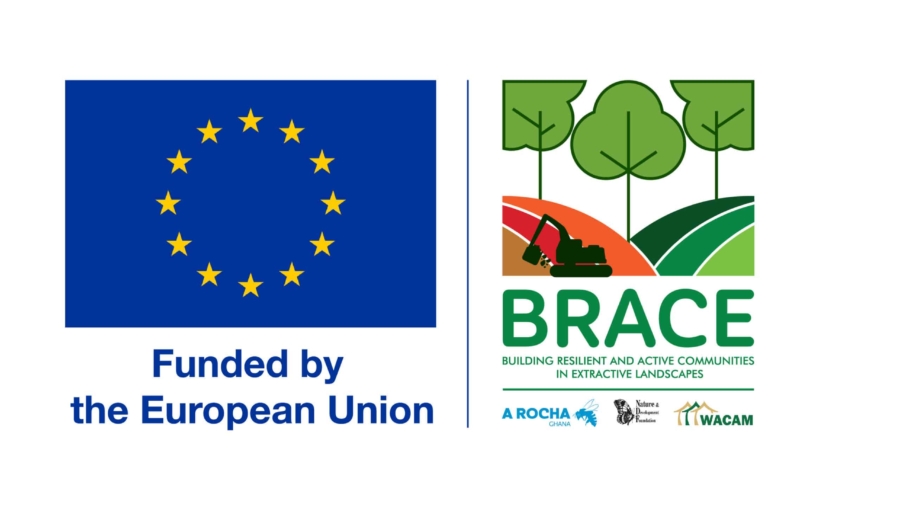 BRACE_Logo_Final_Approved-01