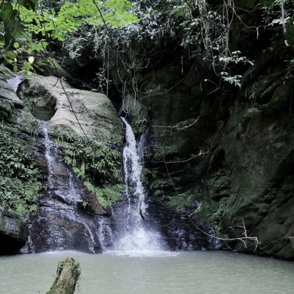 Bebri waterfall in the Atewa forest. Credit: A Rocha Ghana
