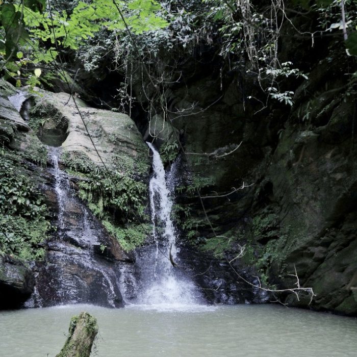 Bebri waterfall in the Atewa forest. Credit: A Rocha Ghana